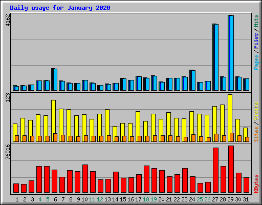 Daily usage for January 2020