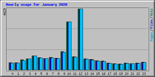 Hourly usage for January 2020