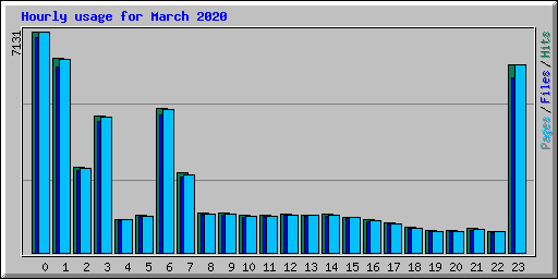 Hourly usage for March 2020